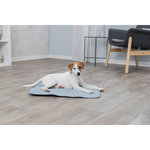 Junior Fresh lying mat, 60 × 50 cm, mint