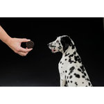 Black & White Cookies, ø 4 cm, 4 pcs./100 g