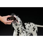 Black & White Cookies, ø 4 cm, 4 pcs./100 g
