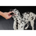 Black & White Cookies, ø 4 cm, 4 pcs./100 g