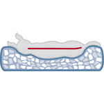 Vital Cueva Tonio, 35 × 30 × 40 cm, Azul petróleo/Blanco-Gris