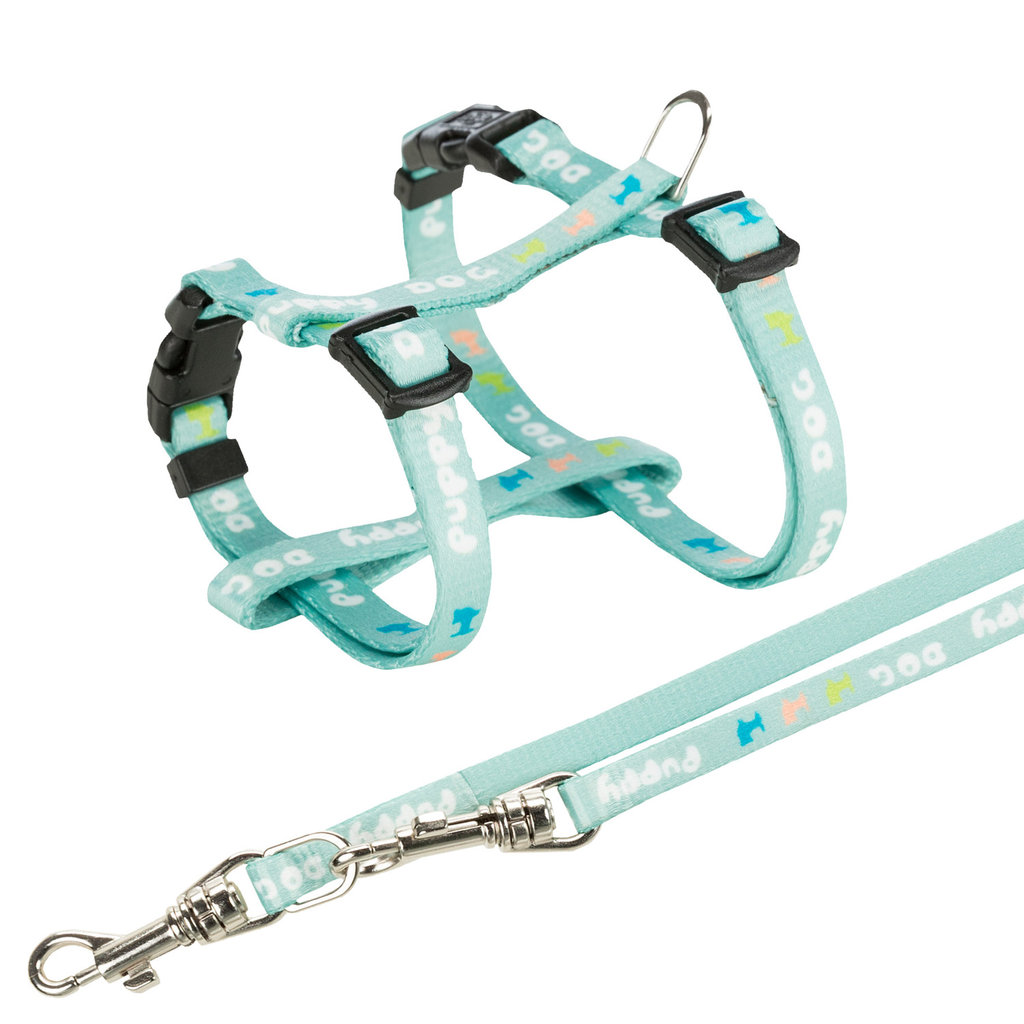 Junior Arnés con Ramal para Cachorros,  M–L, menta,  27–45 cm/10 mm