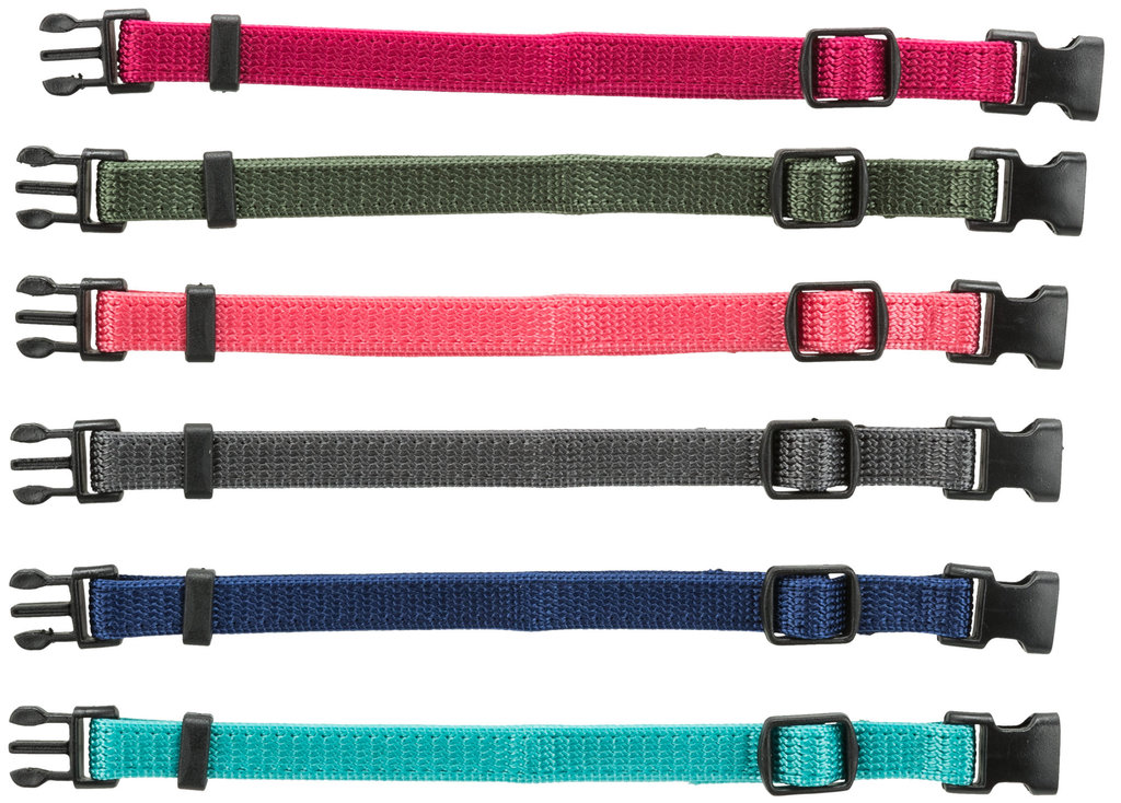 Junior set of puppy collars, M–L: 22–35 cm/10 mm, fuchsia, graphite, indigo, forest, coral, ocean