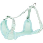 Junior Arnés Acolchado con Ramal para Cachorros,  M–L, menta,  36–50 cm/10 mm