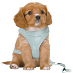 Junior puppy soft harness with leash, M–L: 36–50 cm/10 mm, 2.00 m, mint