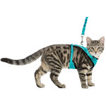 Y-harness, mesh, cat, with elastic leash, 39–60 cm/10 mm, 1.00 m