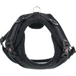 Y-harness, mesh, cat, with elastic leash, 39–60 cm/10 mm, 1.00 m