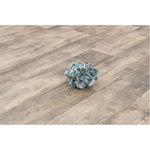 Pelota para olfatear, ø 15 cm