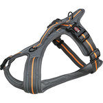 Fusion touring harness, M–L: 61–75 cm/30 mm, graphite/Papaya