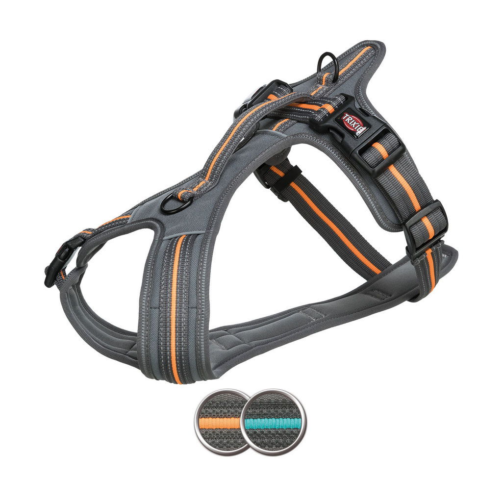 Fusion touring harness, S–M: 45–54 cm/20 mm, graphite/Papaya