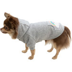 Rainbow Falls hoodie, S: 33 cm, light grey