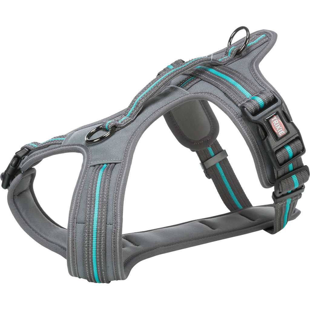 Fusion touring harness, L–XL: 72–89 cm/30 mm, graphite/ocean