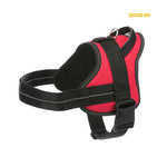 Arnés Julius-K9 Pure, Talla 1 / L: 66–85cm/40mm, Rojo