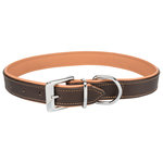 Collar Active Comfort, L–XL: 52–63cm/35mm, Marrón/Marrón Claro