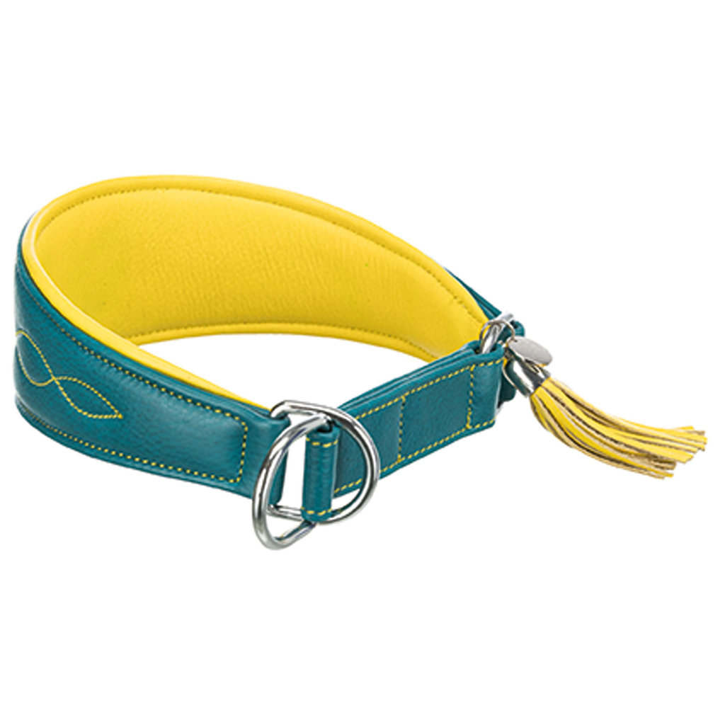 Active Comfort collar for greyhounds, S–M: 33–42 cm/60 mm, petrol