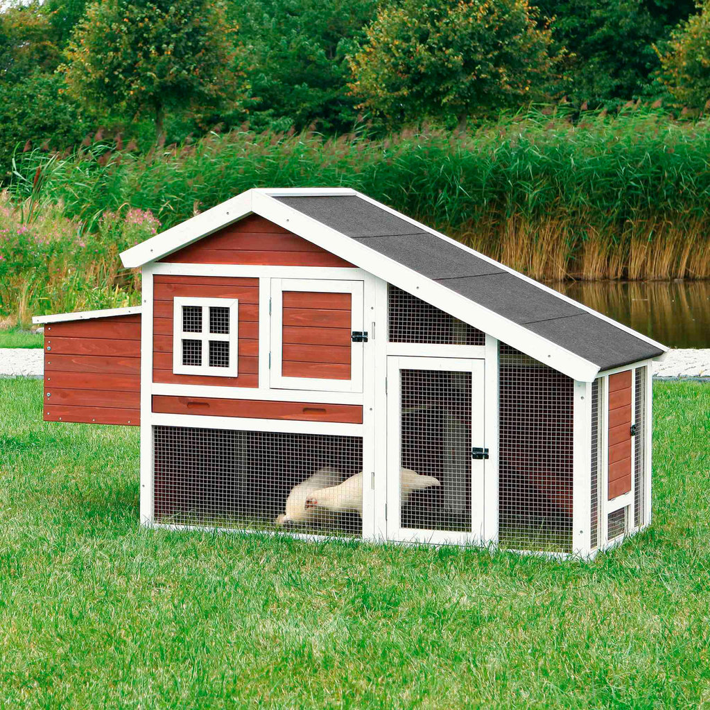 natura chicken coop, pine wood, 183 × 107 × 80 cm, brown/white