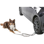 Drive-on plate for dog leash, 12 × 31 cm