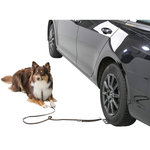 Drive-on plate for dog leash, 12 × 31 cm