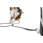 Placa de accionamiento con soporte para perros, 12 × 31 cm