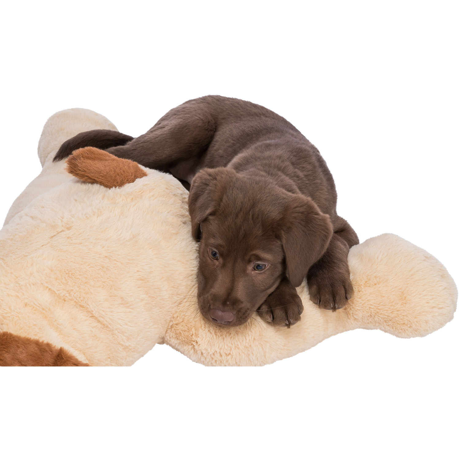 Benny cuddle dog, plush, 75 cm, beige/brown - TRIXIE