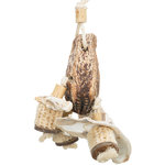 Natural toy, mahogany pod/sea shells, 26 cm
