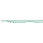 Ramal Premium, Doble capa, L–XL: 2.00 m/25 mm, Menta