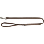 Correa Premium, M–L, Avellana, 1,00 m/20 mm
