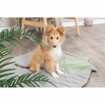 Junior Colchoneta con estrella, gris/menta, 86 x 80 cm