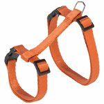 Cat harness with lead, 27–45 cm/10 mm, 1.20 m