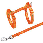 Kitten harness with leash, motif strap, nylon, 22–36 cm/10 mm, 1.20 m
