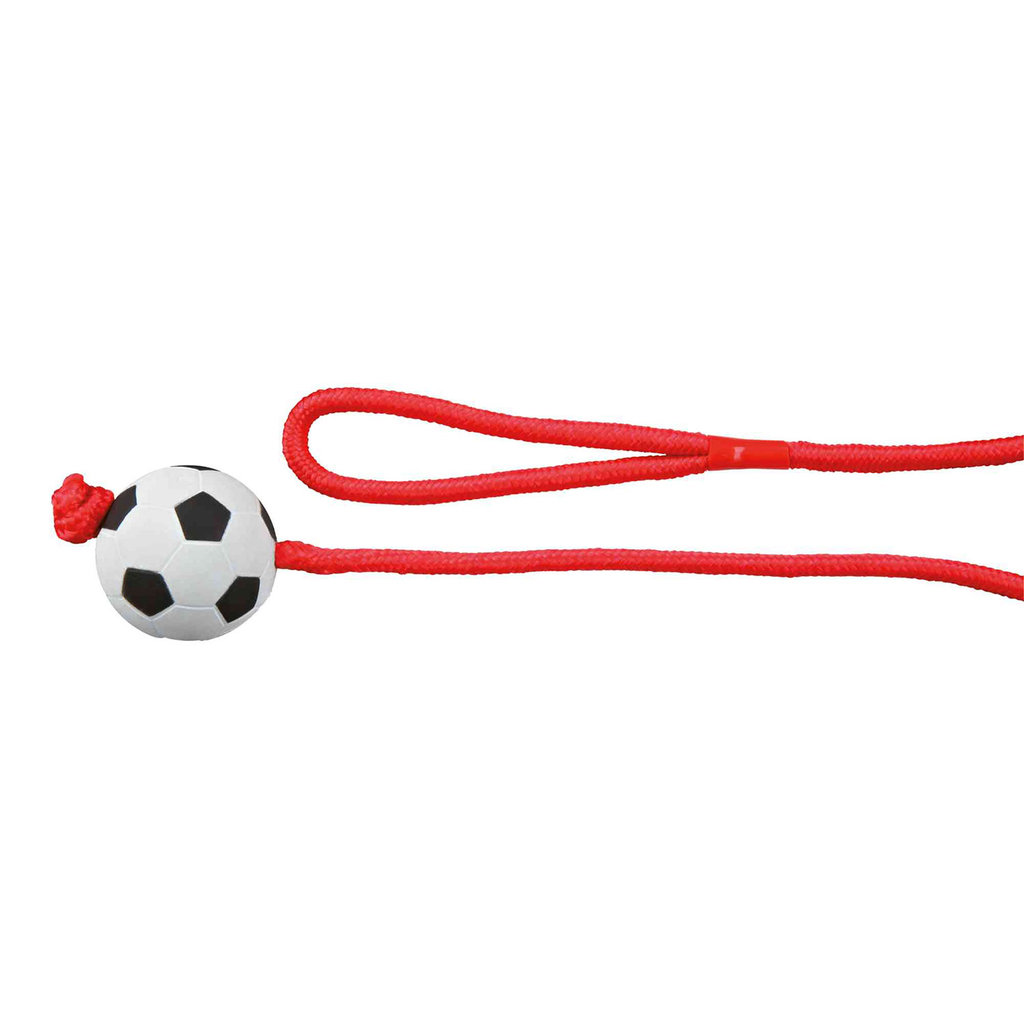 Football on a rope, foam rubber, ø 6 cm/1.00 m