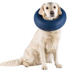 Collar Protector, Inflable, M, Azul