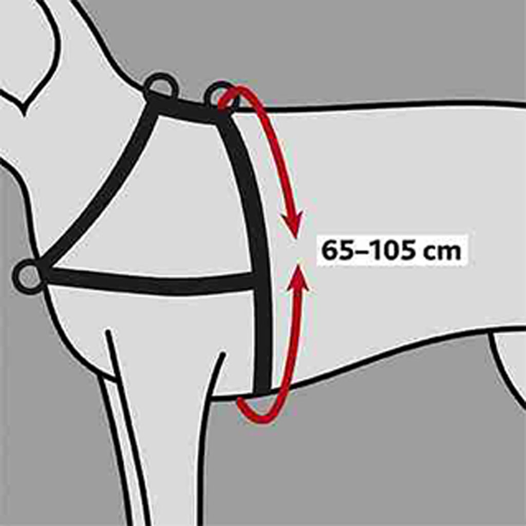 Arnés Guía Soft, L–XL, 65–105 cm/25 mm, Negro