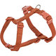 Premium H-harness, L: 60–87 cm/25 mm, rust