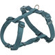 Premium H-harness, L: 60–87 cm/25 mm, petrol