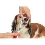 Cepillo de dientes, 18 cm, blanco/gris