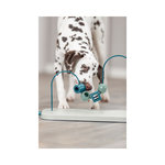 Dog Activity Skills Loop, plástico/metal, 43 cm