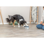 Dog Activity Buzzer, plástico, ø 14 × 9.5 cm