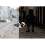 Abrigo de invierno con arnés Pontis Reflect, M, gris