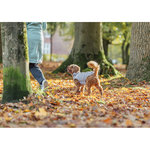 Abrigo Ajou, M, gris