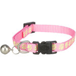 Collar, Reflectante, varios