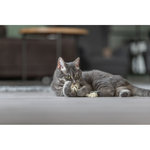 Juguete Cuerda, 15 cm