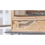 Caja de observación, 36 × 17 cm