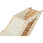 Caja de observación, 36 × 17 cm