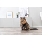 Varita de Juego Estrella, 50 cm