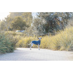 Jersey Norwood, XXL: 80 cm, Azul-Gris