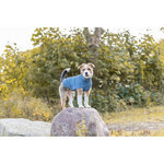 Jersey Norwood, XXL: 80 cm, Azul-Gris