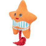 Estrella de mar, 22 cm, naranja