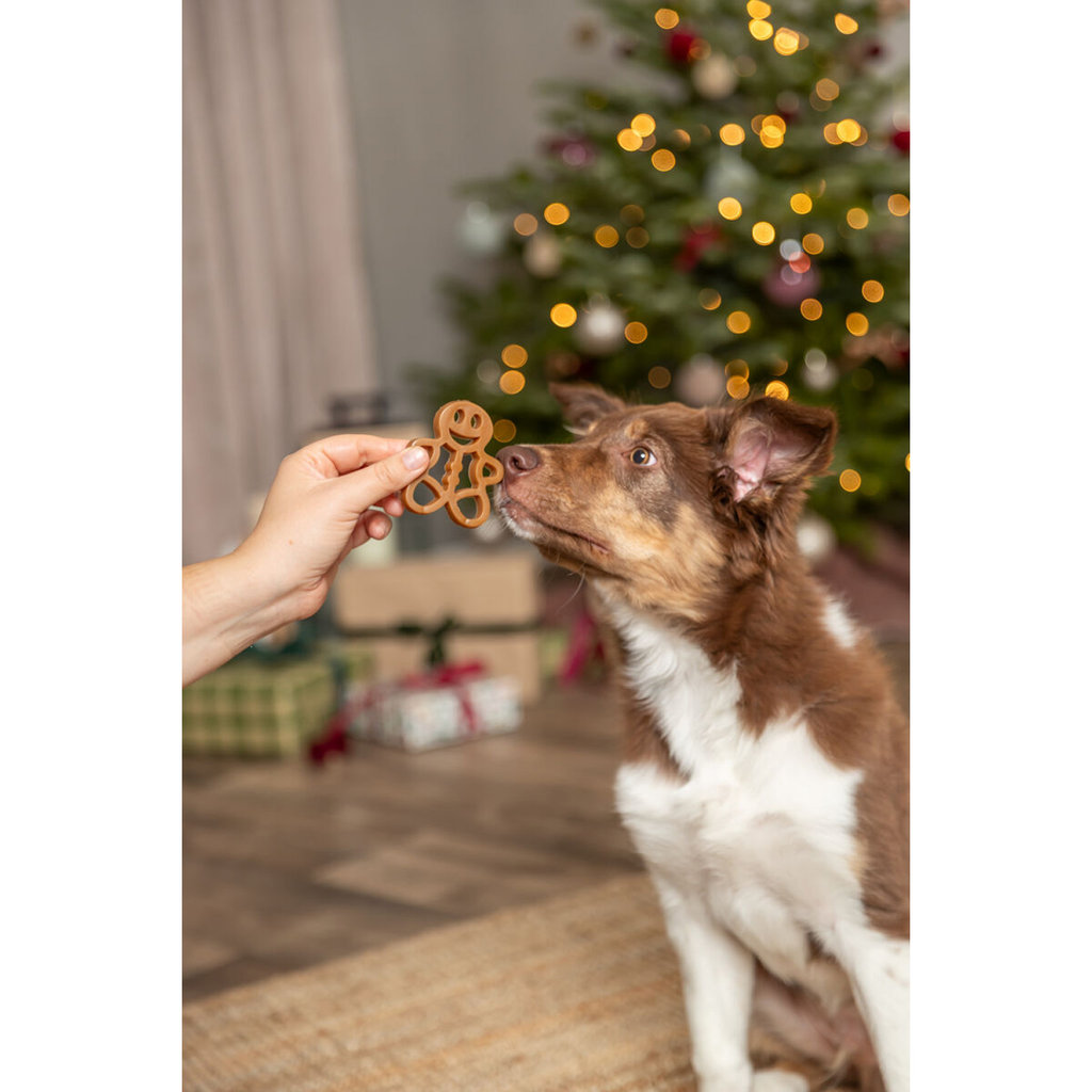 Navidad Galleta de Jengibre, con pechuga de pollo, loose