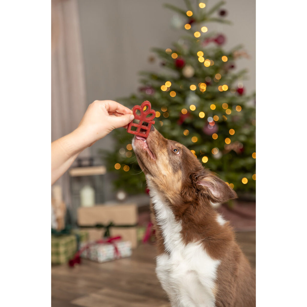 Navidad Regalo, con pechuga de pollo, loose 31 g